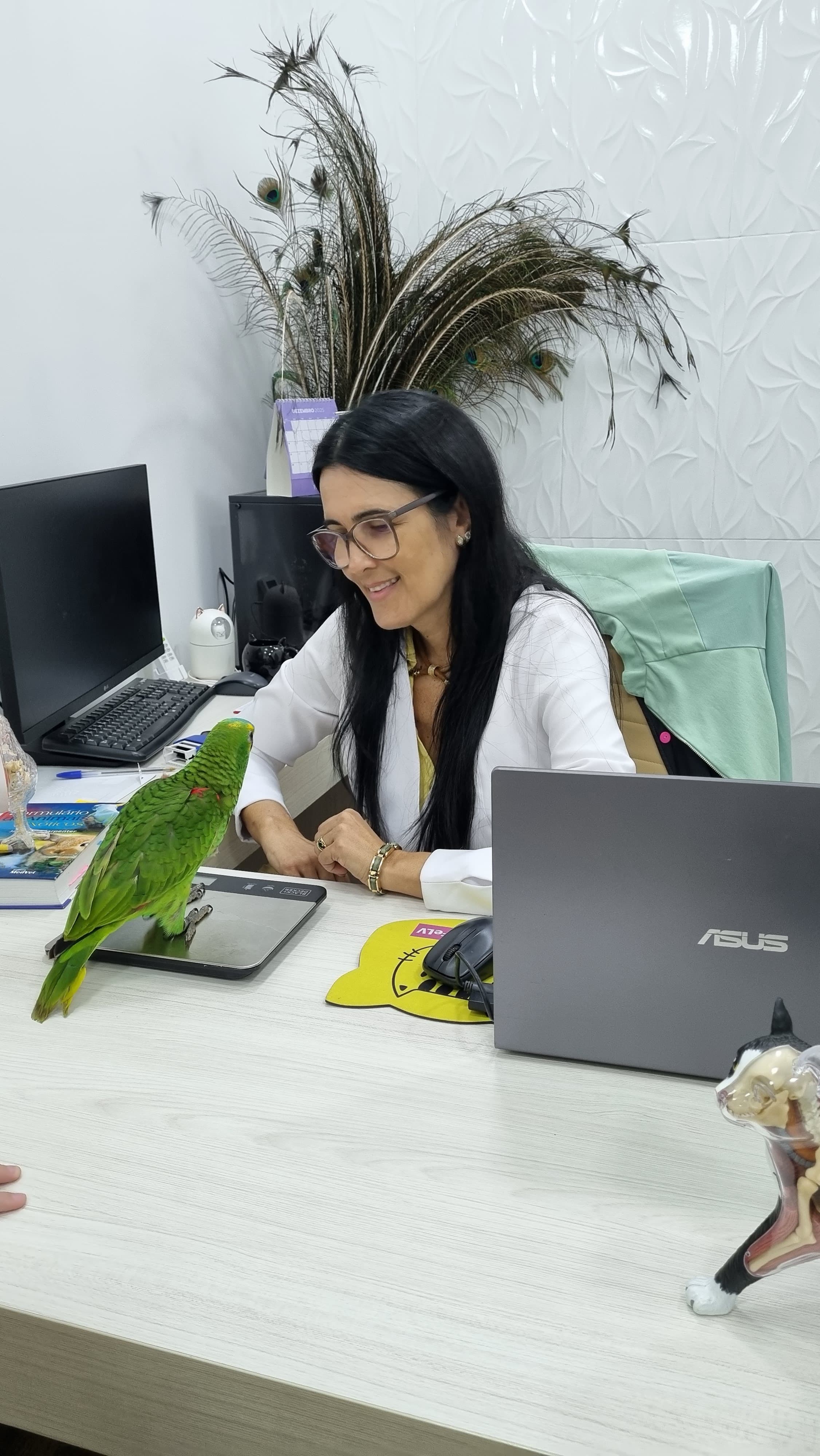 Atendimento de pet em consultório veterinário em Cuiabá