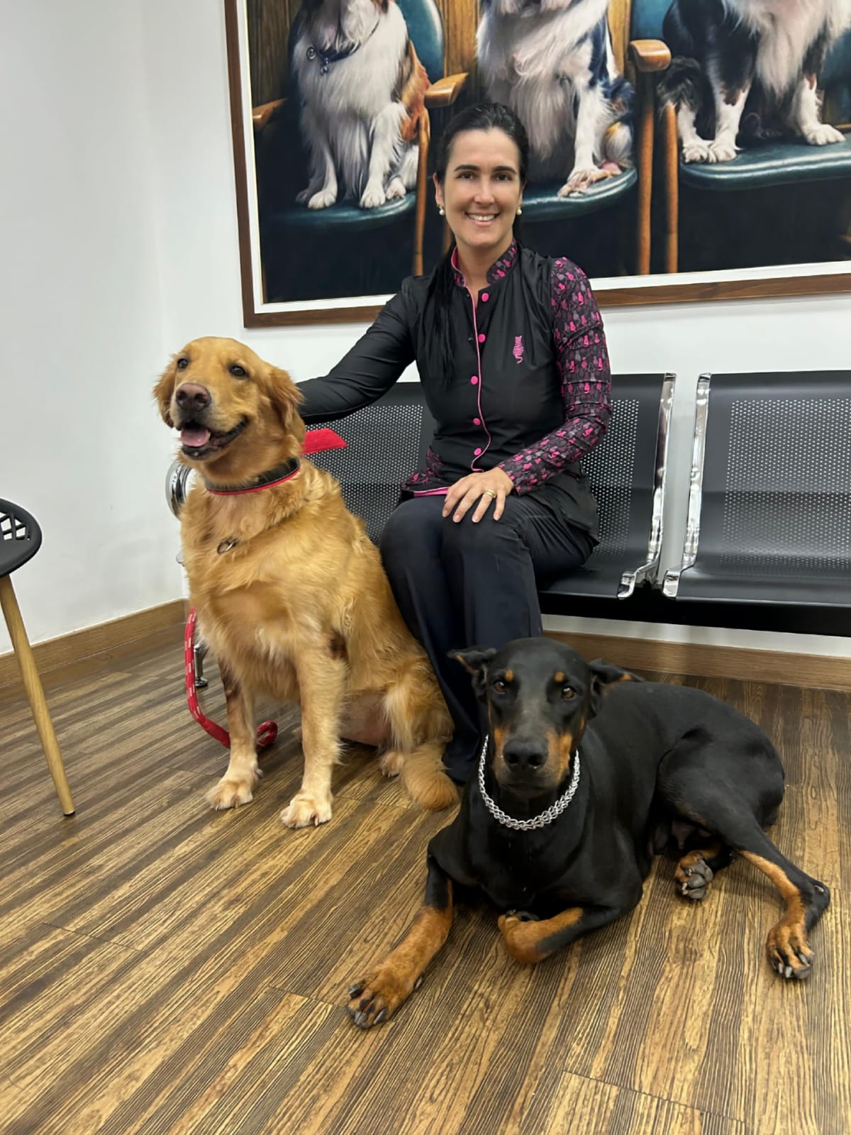 Veterinária com aves em atendimento na clínica em Cuiabá