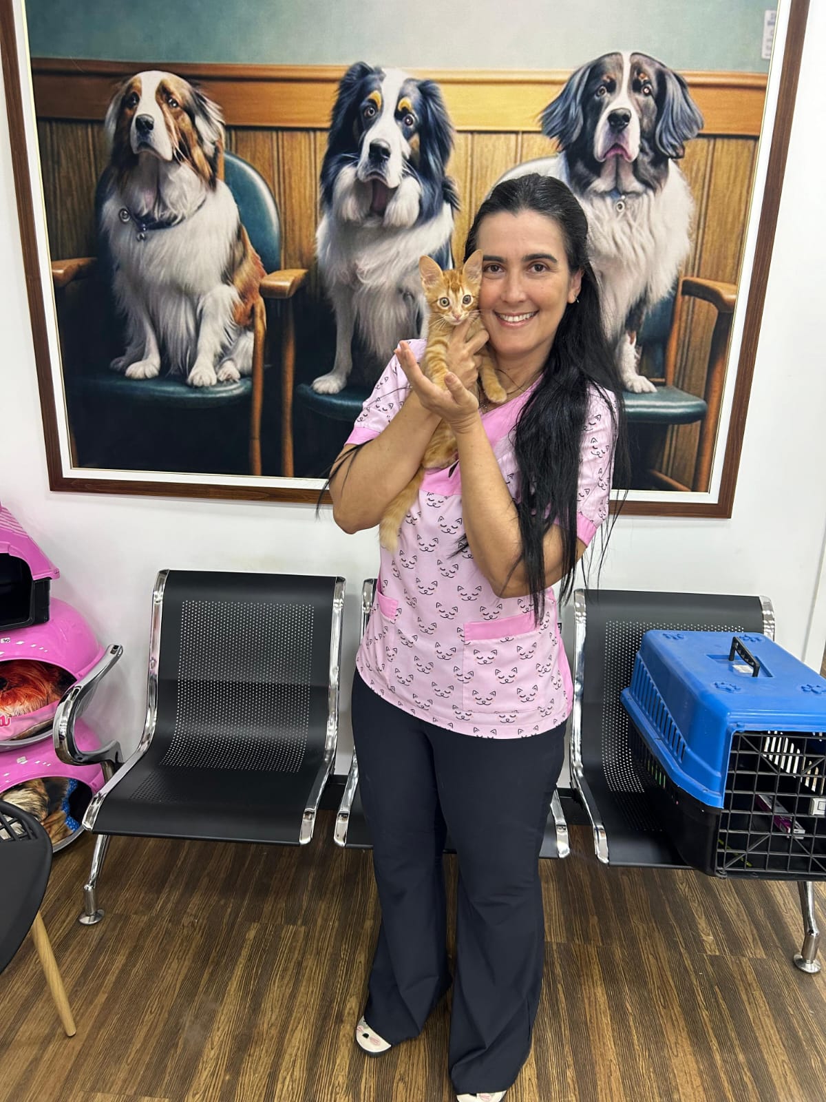 Veterinária com gatinho filhote atendido na clínica em Cuiabá